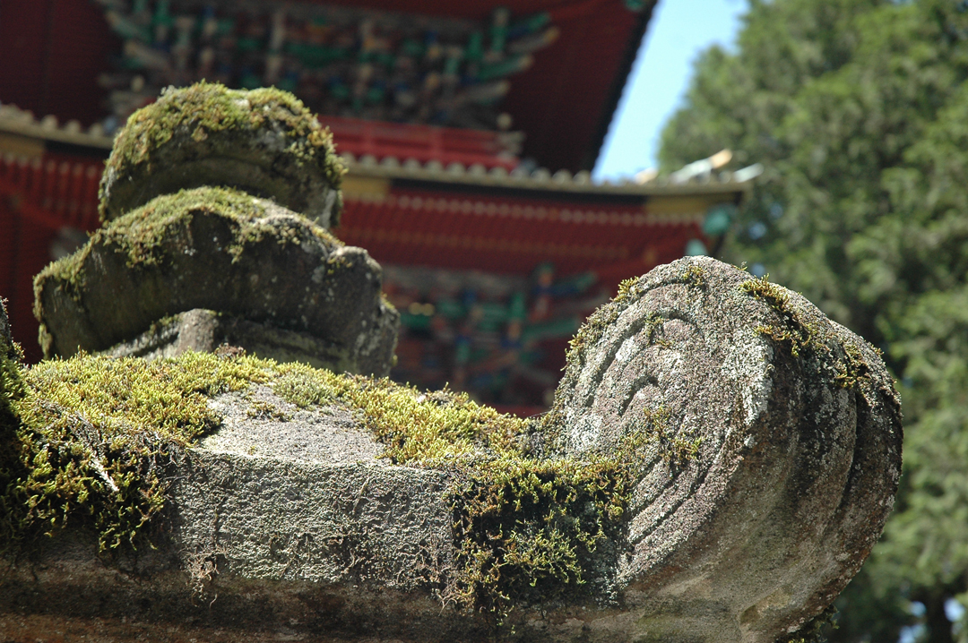 037   Japonia